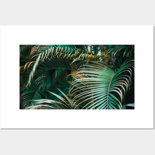 Botanical Green Foliage Posters and Art